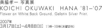 奥脇孝一 写真展　KOICHI OKUWAKI　HANA '81— '07　Flower on White Back Ground. Gelatin Silver Print.　2007年3月17日（土）〜4月8日（日）